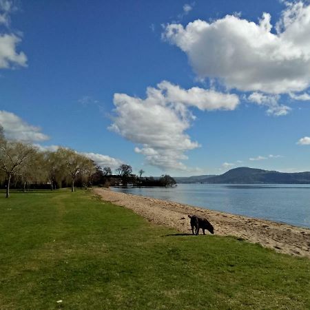 Great View Near Rotorua Lake Екстериор снимка