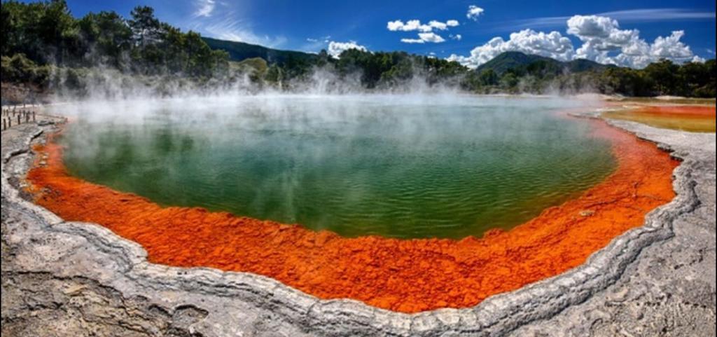 Great View Near Rotorua Lake Екстериор снимка